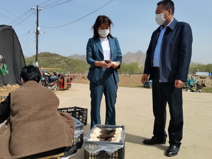 NG28南宫(中国)官方网站