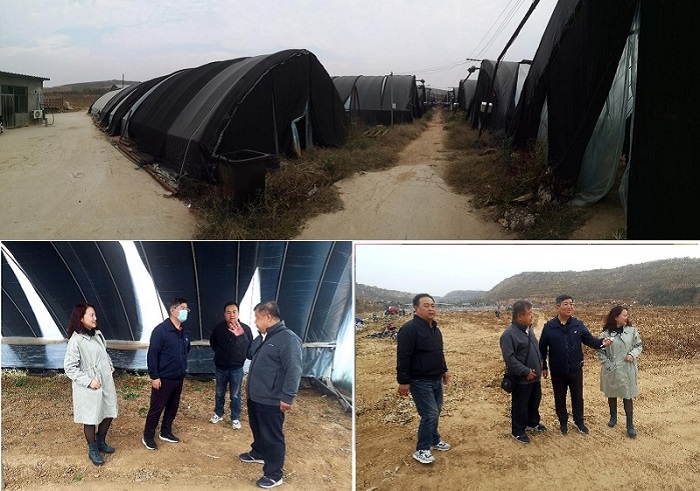 NG28南宫(中国)官方网站