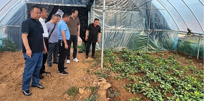 NG28南宫(中国)官方网站